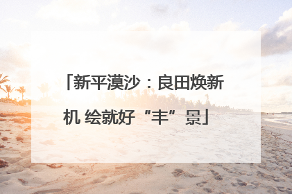 新平漠沙：良田焕新机 绘就好“丰”景