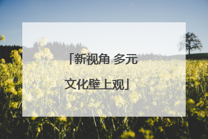新视角 多元文化壁上观