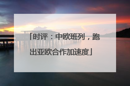 时评：中欧班列，跑出亚欧合作加速度