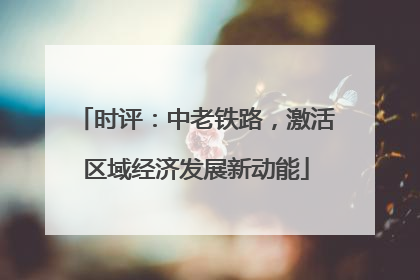 时评：中老铁路，激活区域经济发展新动能