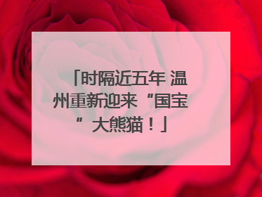 时隔近五年 温州重新迎来“国宝”大熊猫！