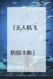 无人机飞防保丰收