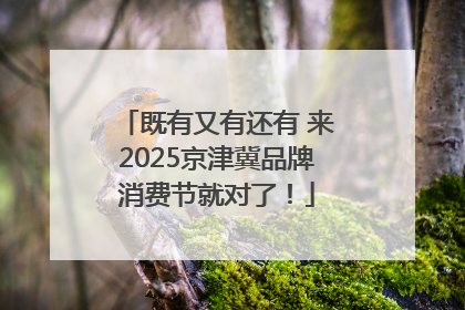 既有又有还有 来2025京津冀品牌消费节就对了！