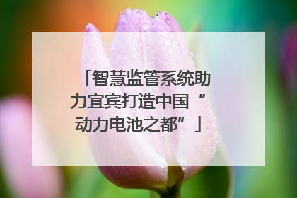 智慧监管系统助力宜宾打造中国“动力电池之都”