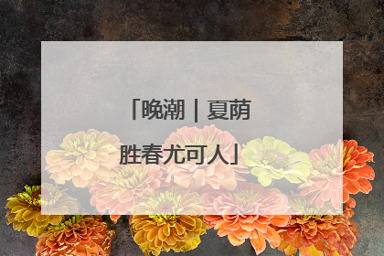 晚潮｜夏荫胜春尤可人