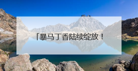 暴马丁香陆续绽放！快来观赏，冰城最美丁香季“终极大招”