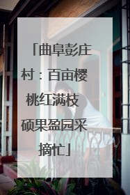 曲阜彭庄村：百亩樱桃红满枝 硕果盈园采摘忙