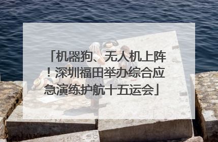 机器狗、无人机上阵！深圳福田举办综合应急演练护航十五运会