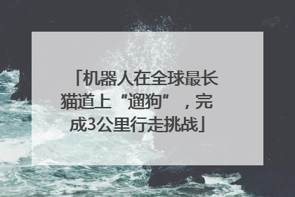 机器人在全球最长猫道上“遛狗”，完成3公里行走挑战