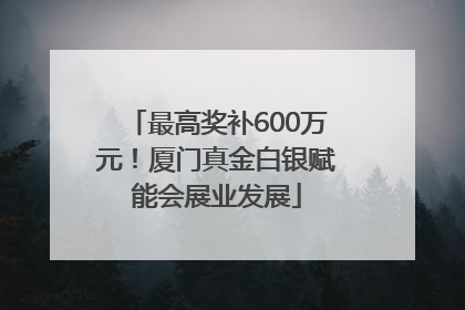 最高奖补600万元！厦门真金白银赋能会展业发展