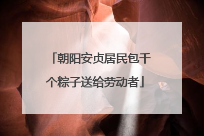 朝阳安贞居民包千个粽子送给劳动者