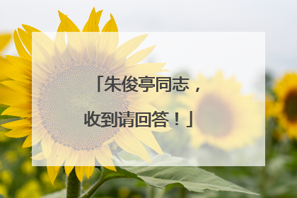 朱俊亭同志，收到请回答！