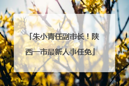 朱小青任副市长！陕西一市最新人事任免