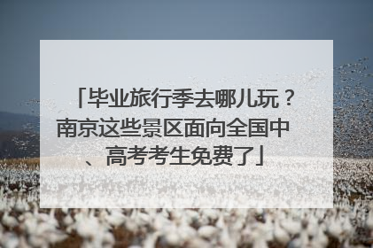毕业旅行季去哪儿玩？南京这些景区面向全国中、高考考生免费了