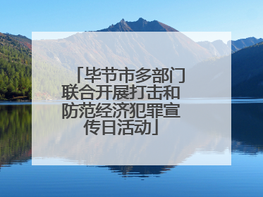 毕节市多部门联合开展打击和防范经济犯罪宣传日活动