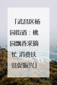 武昌区杨园街道：桃园飘香采摘忙 消费扶贫促振兴