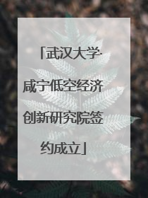 武汉大学·咸宁低空经济创新研究院签约成立