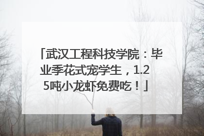 武汉工程科技学院：毕业季花式宠学生，1.25吨小龙虾免费吃！