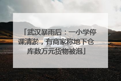 武汉暴雨后：一小学停课清淤，有商家称地下仓库数万元货物被泡