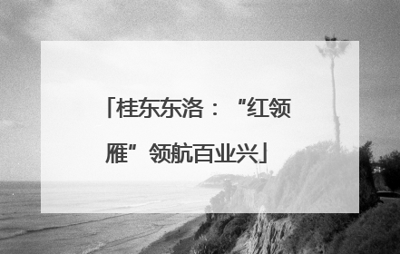桂东东洛：“红领雁”领航百业兴