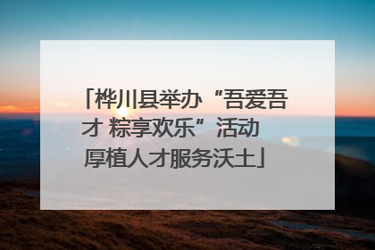 桦川县举办“吾爱吾才 粽享欢乐”活动 厚植人才服务沃土