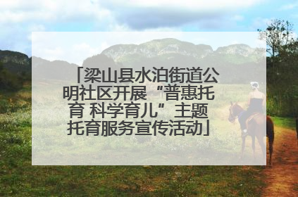 梁山县水泊街道公明社区开展“普惠托育 科学育儿”主题托育服务宣传活动