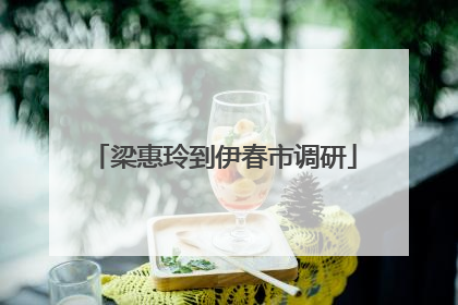 梁惠玲到伊春市调研