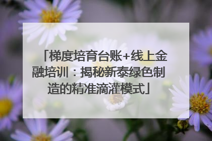 梯度培育台账+线上金融培训：揭秘新泰绿色制造的精准滴灌模式