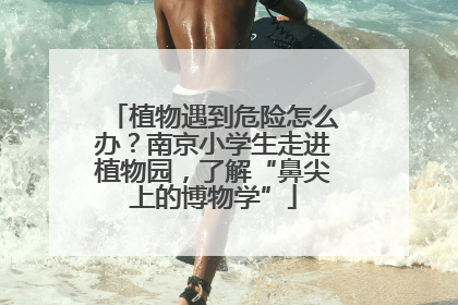 植物遇到危险怎么办？南京小学生走进植物园，了解“鼻尖上的博物学”