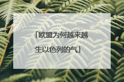 欧盟为何越来越生以色列的气