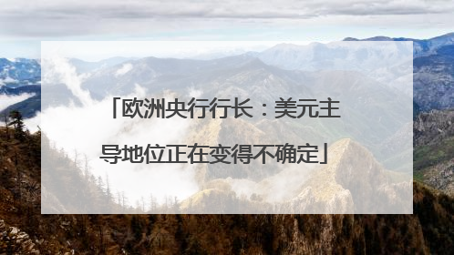 欧洲央行行长：美元主导地位正在变得不确定