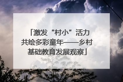 激发“村小”活力 共绘多彩童年——乡村基础教育发展观察