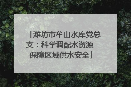 潍坊市牟山水库党总支：科学调配水资源 保障区域供水安全