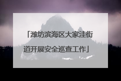 潍坊滨海区大家洼街道开展安全巡查工作