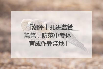 潮评丨扎进监管篱笆，防范中考体育成作弊洼地