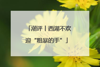 潮评丨西湖不欢迎“粗暴的手”