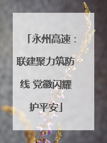 永州高速：联建聚力筑防线 党徽闪耀护平安
