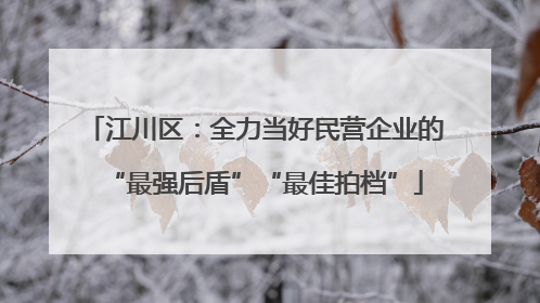 江川区：全力当好民营企业的“最强后盾”“最佳拍档”