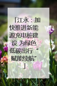 江永：加快推进新能源充电桩建设 为绿色低碳出行“赋能续航”