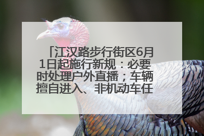 江汉路步行街区6月1日起施行新规：必要时处理户外直播；车辆擅自进入、非机动车任意停放的，依法处理