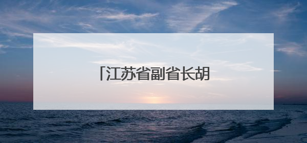 江苏省副省长胡彬郴，分工明确