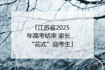 江苏省2025年高考结束 家长“花式”迎考生