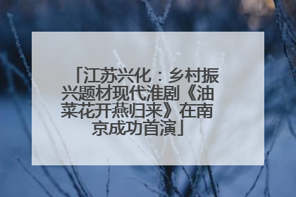 江苏兴化：乡村振兴题材现代淮剧《油菜花开燕归来》在南京成功首演