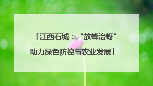 江西石城：“放蜂治蚜”助力绿色防控与农业发展