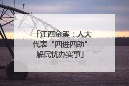 江西金溪：人大代表“四进四助”解民忧办实事