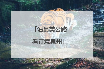 沿最美公路 看诗意泉州