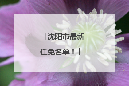 沈阳市最新任免名单！