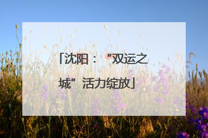 沈阳：“双运之城”活力绽放