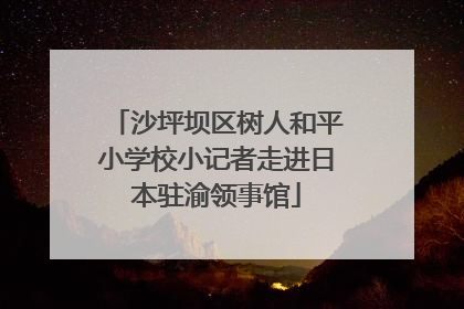 沙坪坝区树人和平小学校小记者走进日本驻渝领事馆