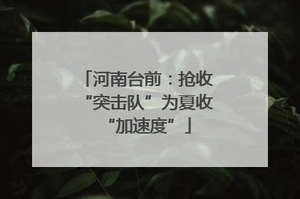 河南台前：抢收“突击队”为夏收“加速度”